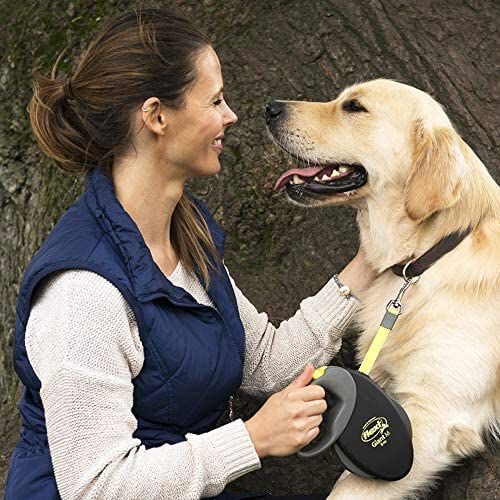 Flexi Cinta profesional 10 metros negra para perros grandes thumbnail