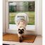 Cstore superflap puerta con microchip blanco para gatos, , large indicador imagen numero 4