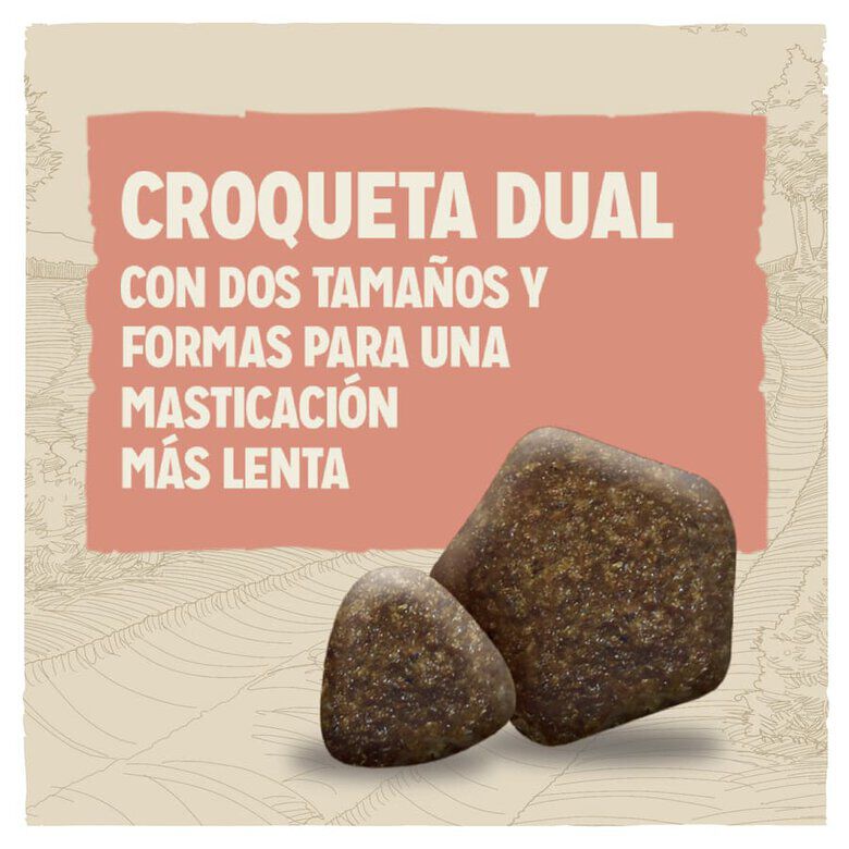 14 kg Dog Chow Active Pollo pienso para perros, , large Imagen numero 3