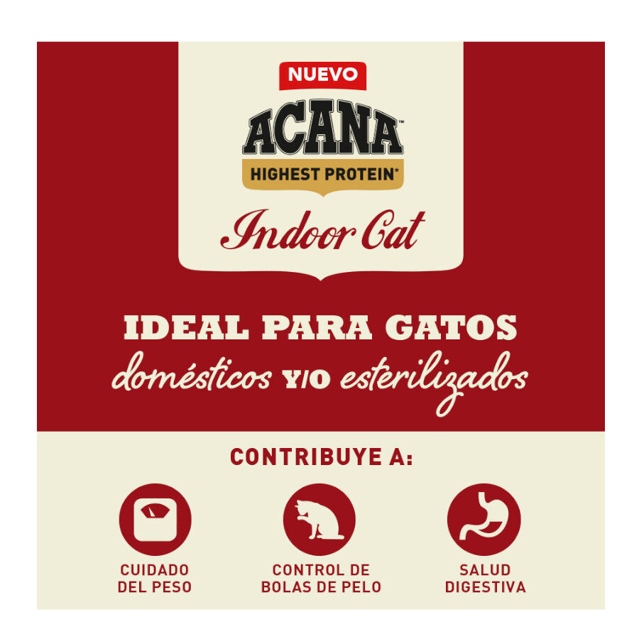 Acana Highest Protein Indoor Pollo Salmón y Trucha Pienso para gatos thumbnail