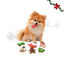1 pack x 7 uds. Wonder Christmas Pack Regalo Galletas Snacks para perros, , large indicador imagen numero 1