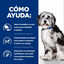4 kg Hill's Prescription Diet ON-Care Pollo pienso para perros, , large indicador imagen numero 3