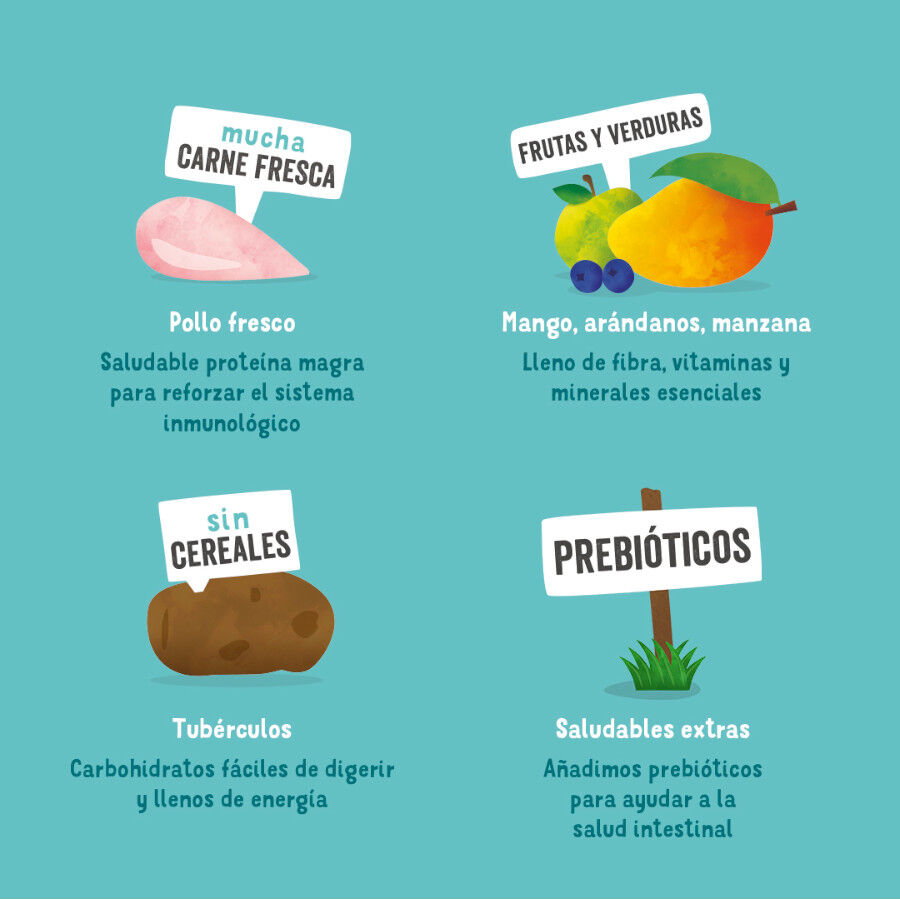 Edgard &amp; Cooper Adult Pollo pienso para perros thumbnail