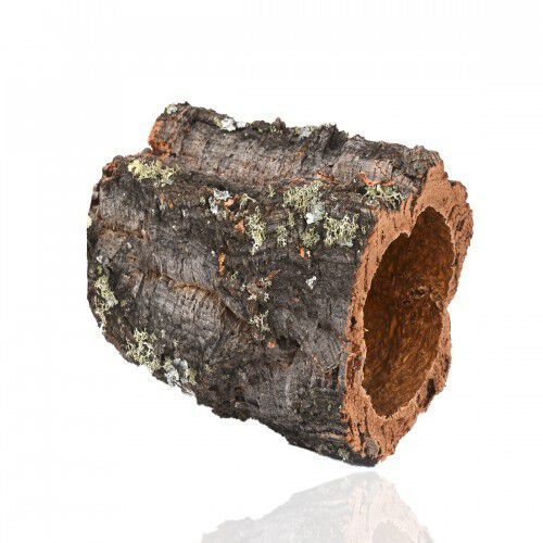 Madriguera corcho por naturaleza para terrario, , large Imagen numero 2