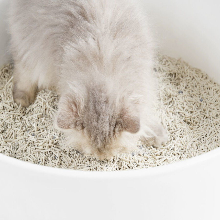 Arena vegetal mixta para gatos (tofu+bentonita) - 9.6kg, , large Imagen numero 4