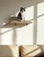 Althea Living - Estanteria para gatos Ancla, madera de caucho y sisal, , large indicador imagen numero 2