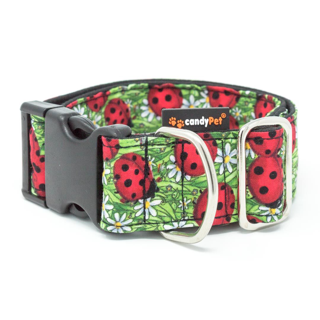 candyPet&reg; Collar Click para Perros - Modelo Mariquitas, , large Imagen numero 1