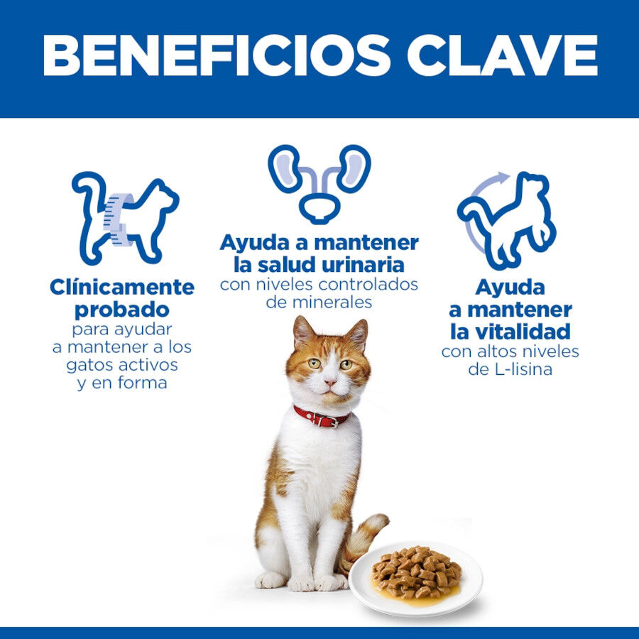 85 g Hill's Science Plan Sterilised Young Adult Pavo Sobre en Salsa para gatos, , large Imagen numero 5