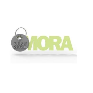 Seron llavero personalizado amor perruno verde menta 
