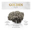 Golden Grey Light Arena Aglomerante para gatos, , large indicador imagen numero 6