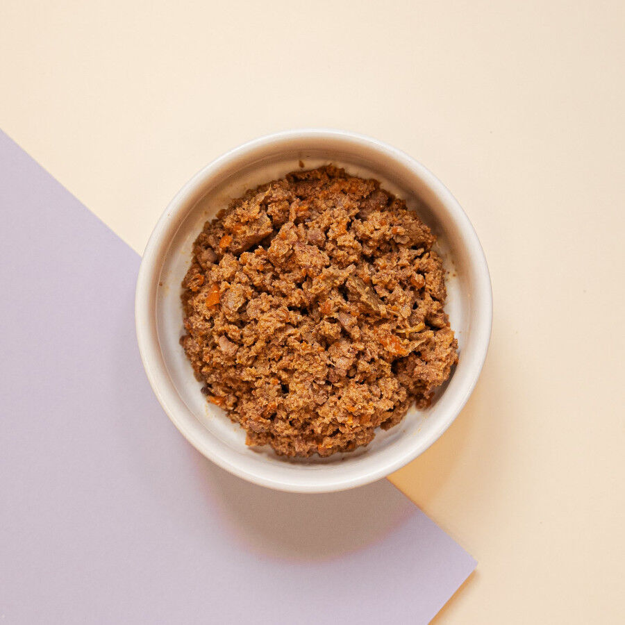 Comida para gatos. Men&uacute; cocinado para gato de pollo y salm&oacute;n, , large Imagen numero 2