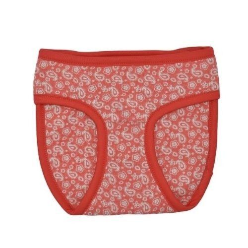 Loyal braguitas celo naranja para perros, , large Imagen numero 2