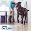 36 barritas Dentalife Snacks Dentales para perros de raza grande, , large indicador imagen numero 7