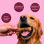 dr.bimix Tr&aacute;queas de Ternera para Perros | Snack Natural para Masticaci&oacute;n, , large indicador imagen numero 3