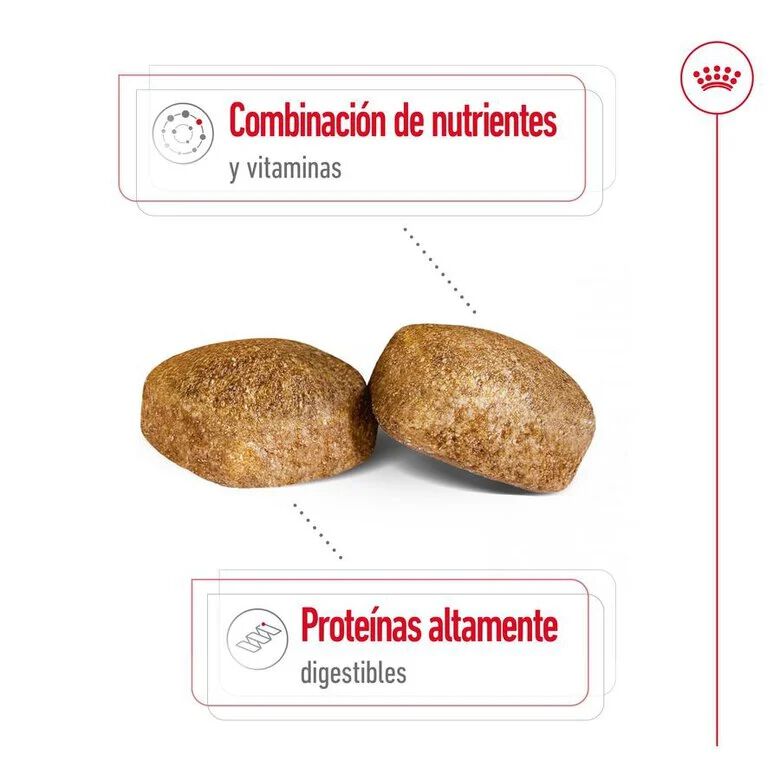 Royal Canin Giant Adult pienso para perros thumbnail