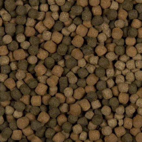 Comida flotante para peces, , large Imagen numero 2