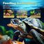 Nobleza Alimento para tortugas y tortugas de agua elaborado con langostinos de río naturales de alta calidad(160g/1.5L), , large indicador imagen numero 4