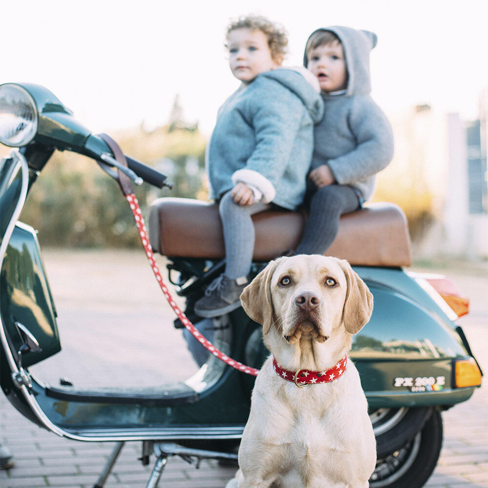 Ladran Gaucho Collar Nana hecho a mano para perros, , large Imagen numero 2