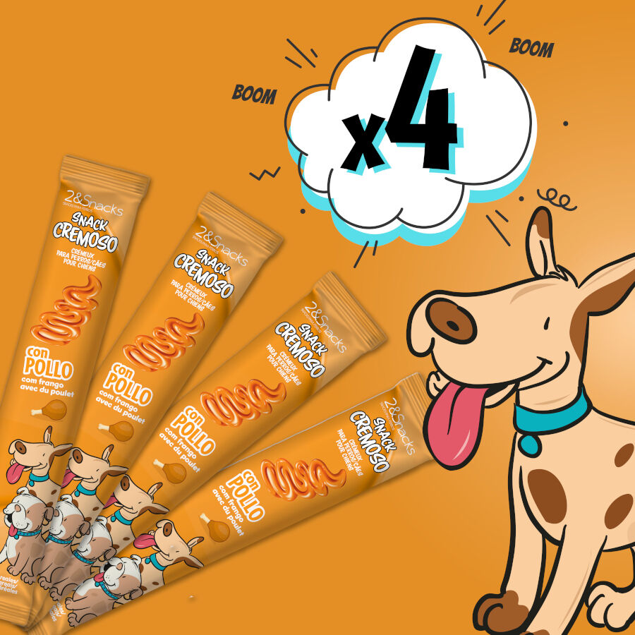 4 sobres x 15 g 2&Snacks Snacks Cremosos con Pollo para perros, , large Imagen numero 2