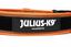 Collar asa de agarre Julius K9 50mm Naranja, , large indicador imagen numero 3