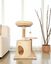 Althea Living - Cama Árbol para Gatos Nácar, madera maciza y yute, , large indicador imagen numero 2