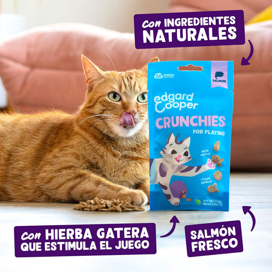 Edgard &amp; Cooper Galletas Crunchies Salmon para gatos thumbnail
