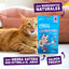 50 g Edgard & Cooper Galletas Crunchies Salmon para gatos, , large indicador imagen numero 2
