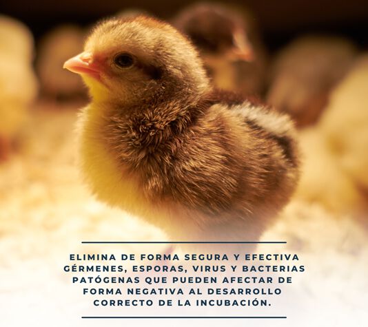 Finca Casarejo Ova Clean Spray Desinfectante Natural para Incubadoras de Huevos thumbnail