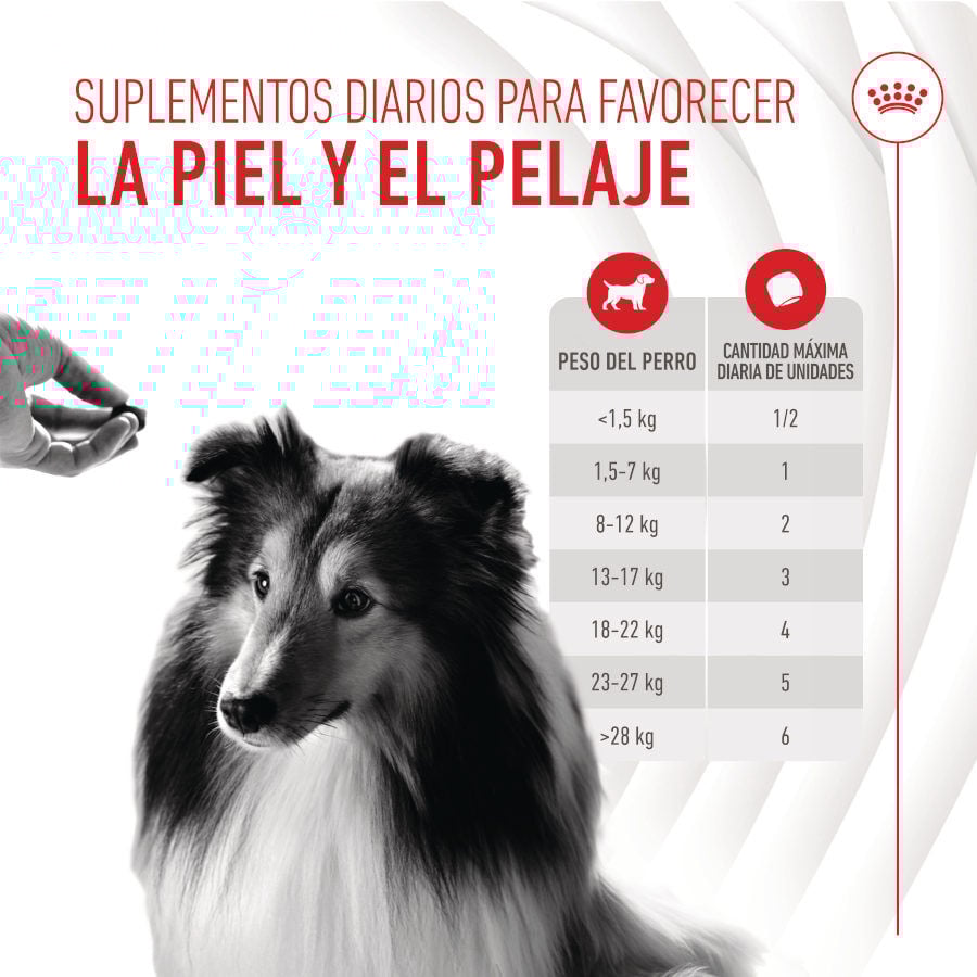 Royal Canin Skin &amp; Coat Chews Adult Suplemento nutricional para perros thumbnail