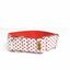 Collar para perros Martingale antitirones y antiescape, , large indicador imagen numero 1