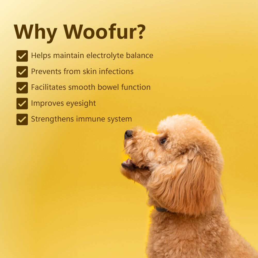 Delicias de carne seca: pollo y mango (50 g/1,76 oz), , large Imagen numero 5