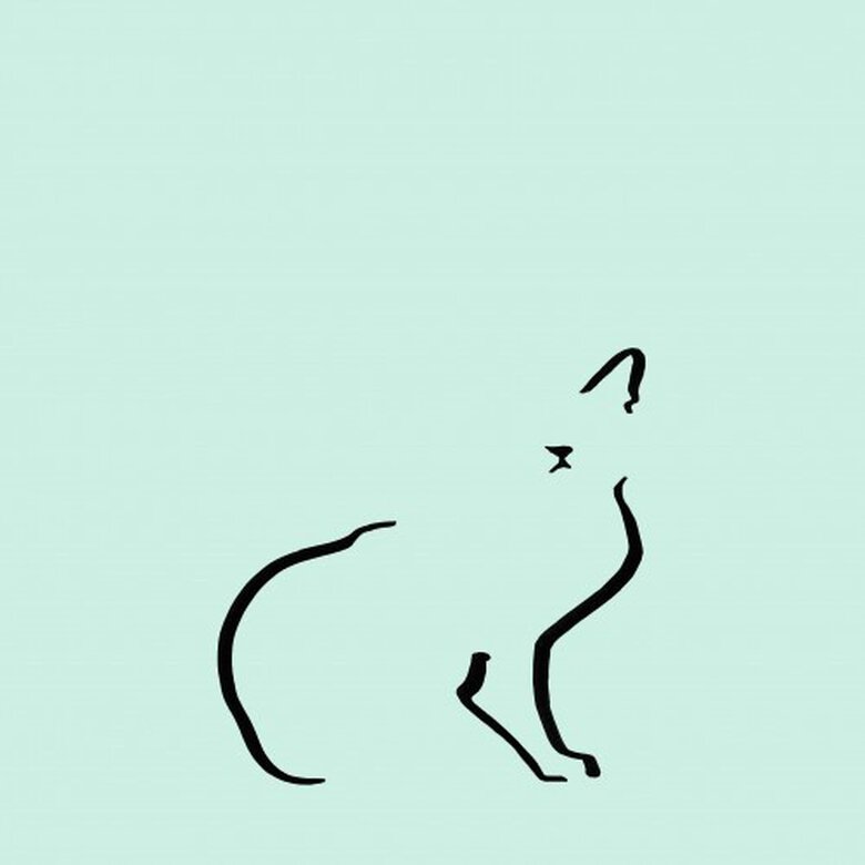 Ilustración de Gato doméstico A4 sin marco color Mint, , large image number null