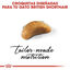 10 kg Royal Canin British Shorthair Kitten pienso para gatos, , large indicador imagen numero 3