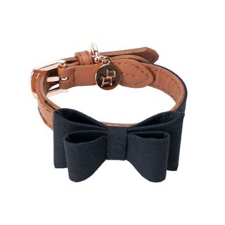 House Of Pets Cuello Dealer para perros