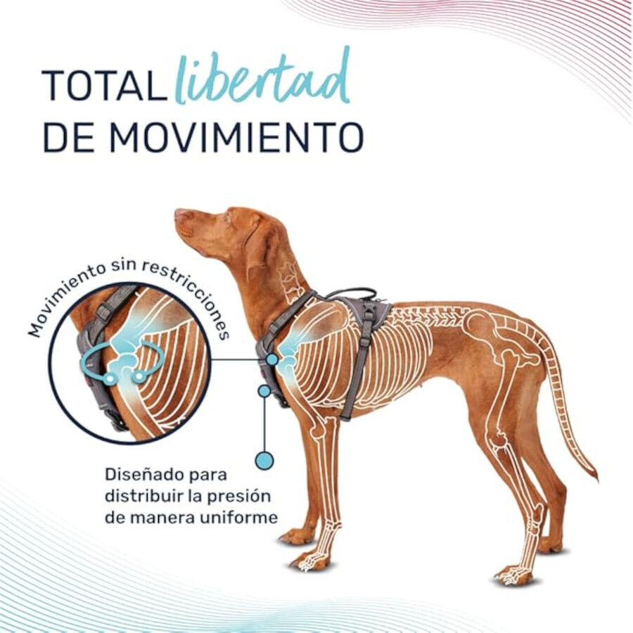 Halti arn&eacute;s anat&oacute;mico con asa azul verdoso para perros, , large Imagen numero 2
