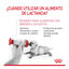 Royal Canin Leche para gatitos primer año, , large indicador imagen numero 4