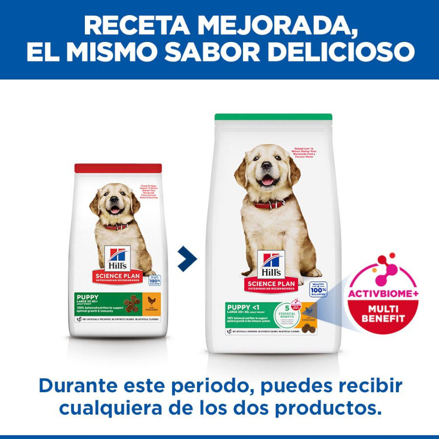 14.5 kg Hill's Science Plan Puppy large Pollo pienso para perros, , large Imagen numero 3