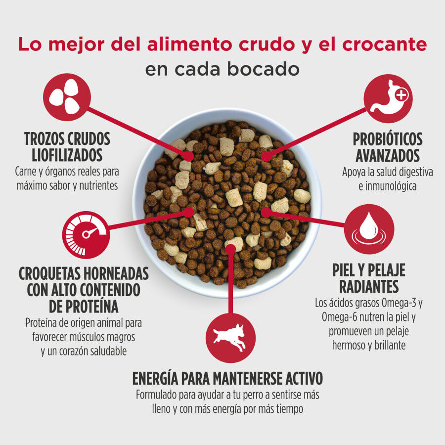 1.8 kg Nulo Raw Medley Salm&oacute;n Avena y Pavo Pienso para cachorros, , large Imagen numero 4