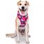Zooz arn&eacute;s snoopy rosa para perros, , large indicador imagen numero 1