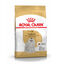 1.5 kg Royal Canin Adult Bichón Maltés pienso para perros, , large indicador imagen numero 1