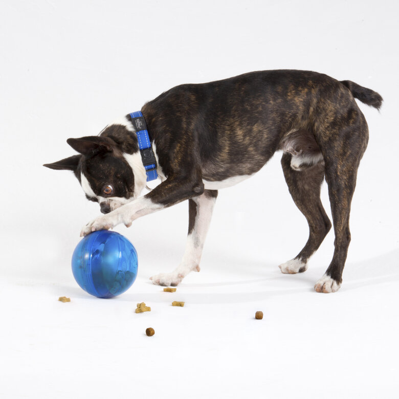 Rogz tumbler portagolosinas de juguete azul para perros, , large image number null
