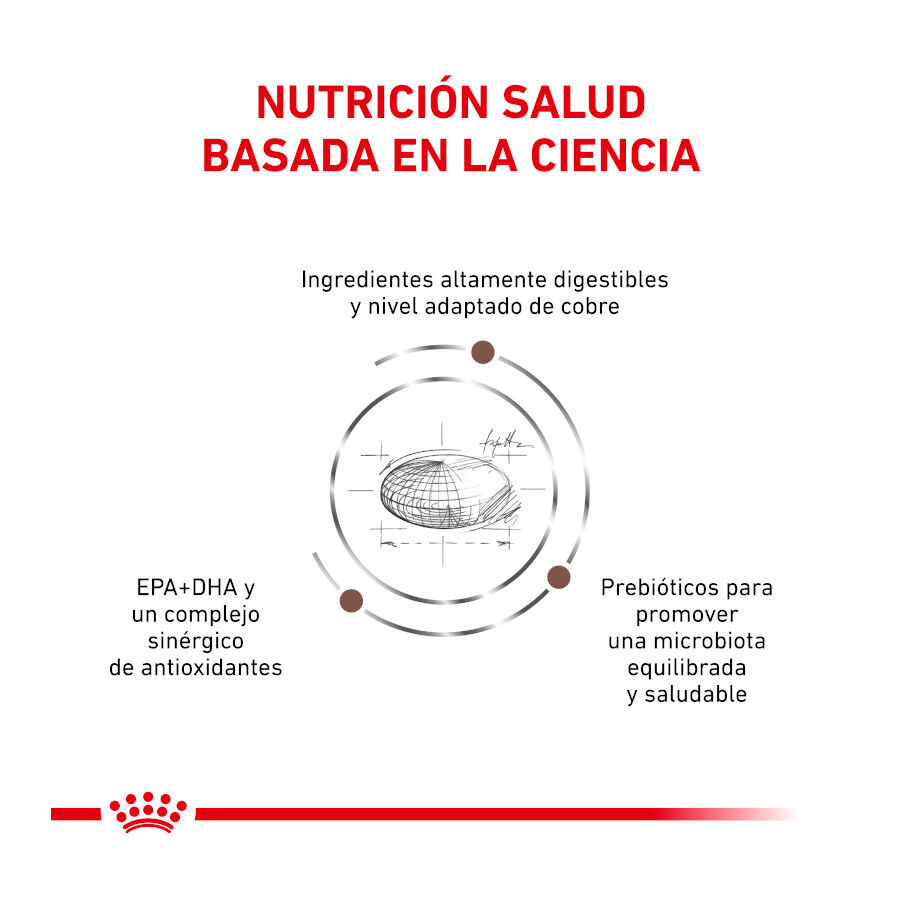 Royal Canin Veterinary Hepatic pienso para gatos thumbnail