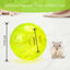 Nobleza Hamster Pelota de ejercicio 14 cm Pelota de hámster Correrde hámster Linda Mini pelota de ejercicio para hámsteres enanos para aliviar el aburrimiento y aumentar la actividad (M), , large indicador imagen numero 2