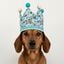 Gorro de cumplea&ntilde;os forma de corona - - Hecha a mano - Estampado de Perro Salchicha Feliz - Azul, , large indicador imagen numero 2