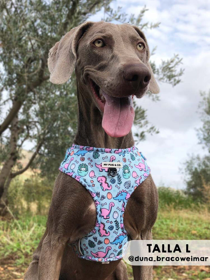 Arn&eacute;s Ajustable Doggysaurus, , large Imagen numero 4