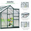 Outsunny Invernadero de Jardín 2x2,5 m Policarbonato y Aluminio Vivero Casero con Tragaluz Protección UV30 y Base 4,79 m² para Macetas Cultivo Plantas Flores Transparente, , large indicador imagen numero 4