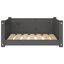 Cama Para Perros, , large indicador imagen numero 13