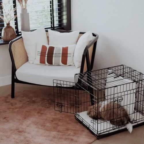 District70 Crate Jaula Plegable para perros, , large Imagen numero 4