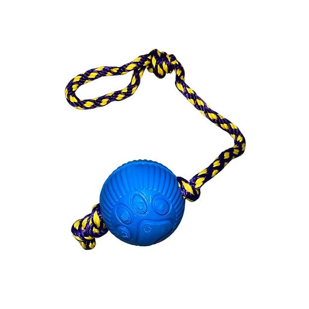 Lets Play Spain Juguete Pelota Lazo Azul para perros