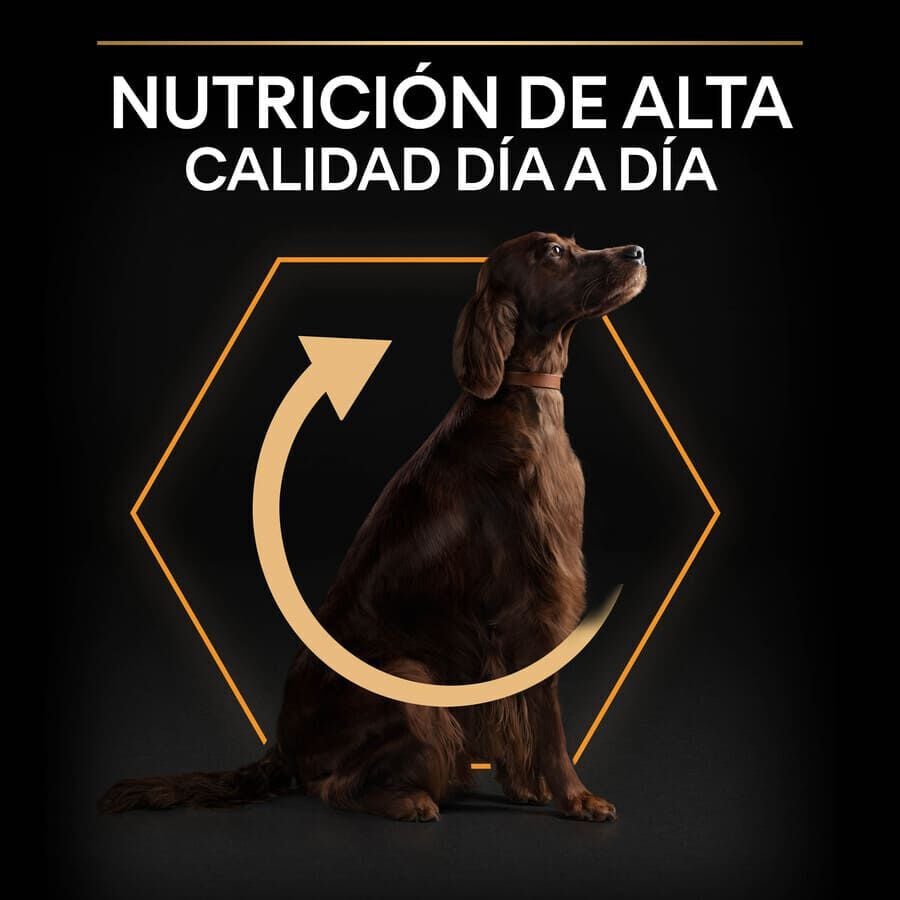 Pro Plan Large Athletic Adult Pollo pienso para perros thumbnail